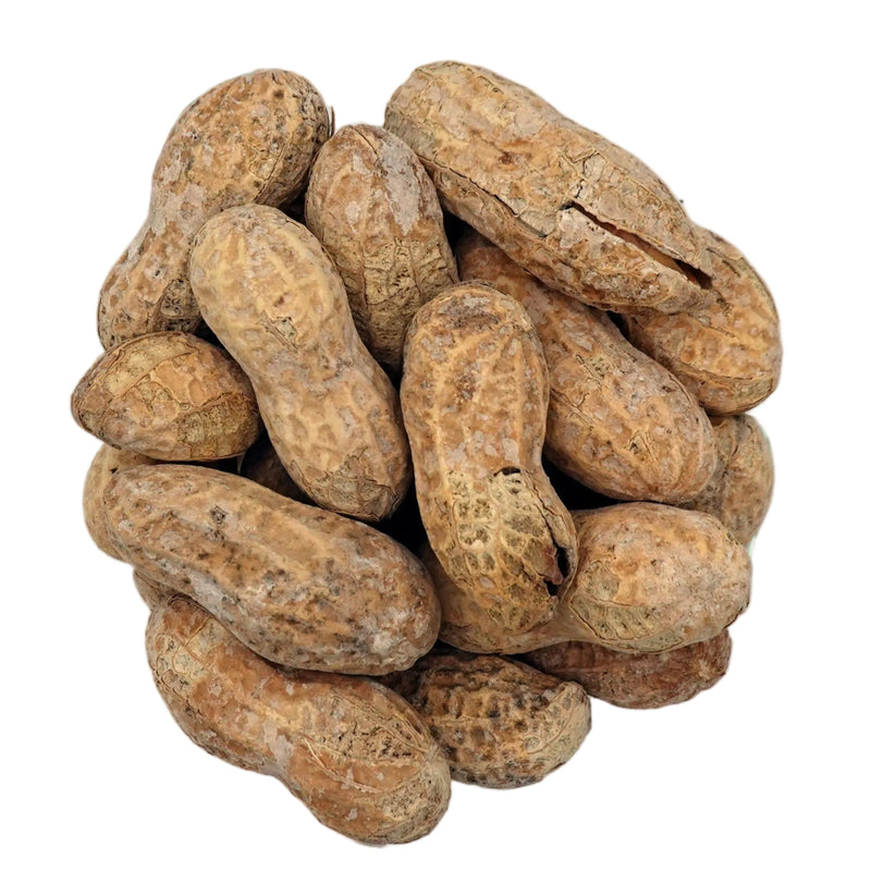 Salted in-shell peanuts in their natural tan-brown shells, presented in a small clear glass bowl on a solid white background.